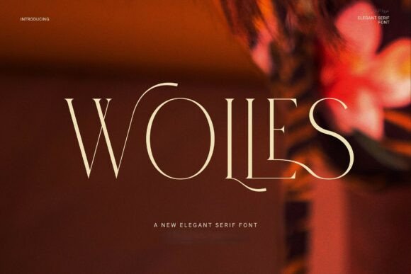 Wolles Elegant Modern Serif for Branding Projects